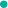 螃蟹可以放水里养着吗